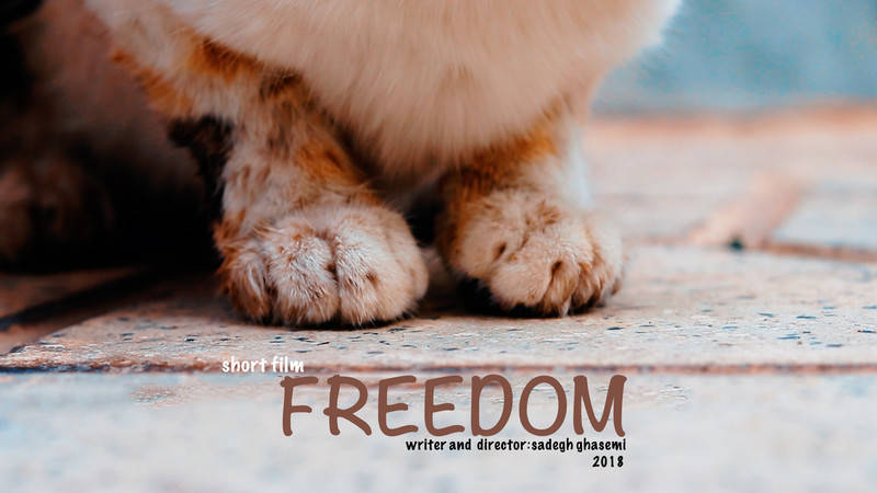 Freedom