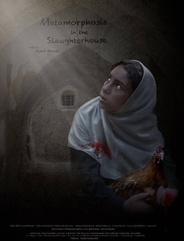 metamorphasis